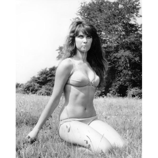 Caroline Munro - sitting in grass in bikini Photo Print (8 x 10) - Item DAP14709 Image 1