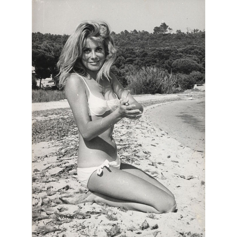 Catherine Deneuve - Kneeling on Beach Photo Print (8 x 10) - Item DAP14874 Image 1