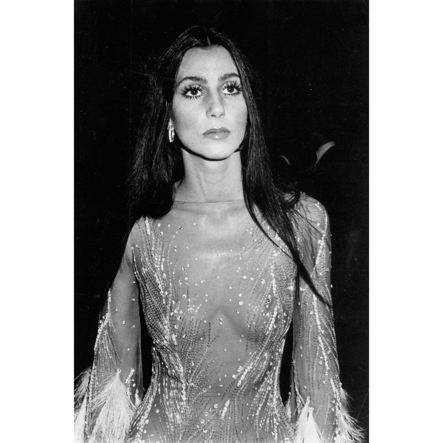 Cher - See Through Top Photo Print (8 x 10) - Item DAP14966 Image 1