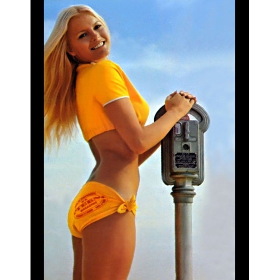 Cheryl Ladd - Pay Meter Photo Print (8 x 10) - Item DAP14990 Image 1