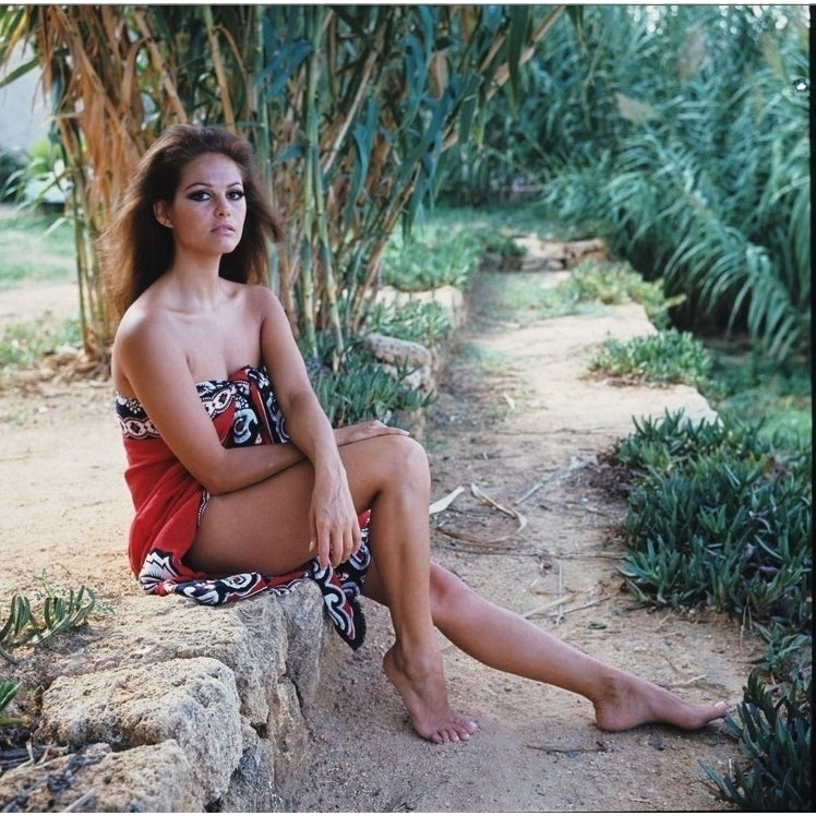 Claudia Cardinale - Bamboo Color Photo Print (8 x 10) - Item DAP15500 Image 1