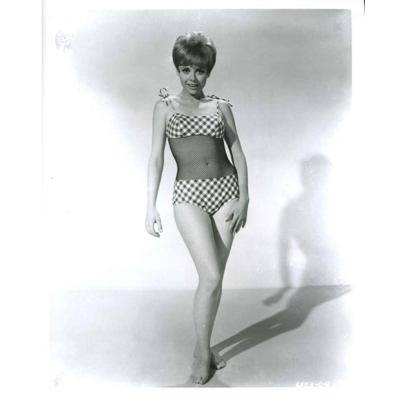 Deborah Walley- Plaid One Piece Photo Print (8 x 10) - Item DAP16527 Image 1