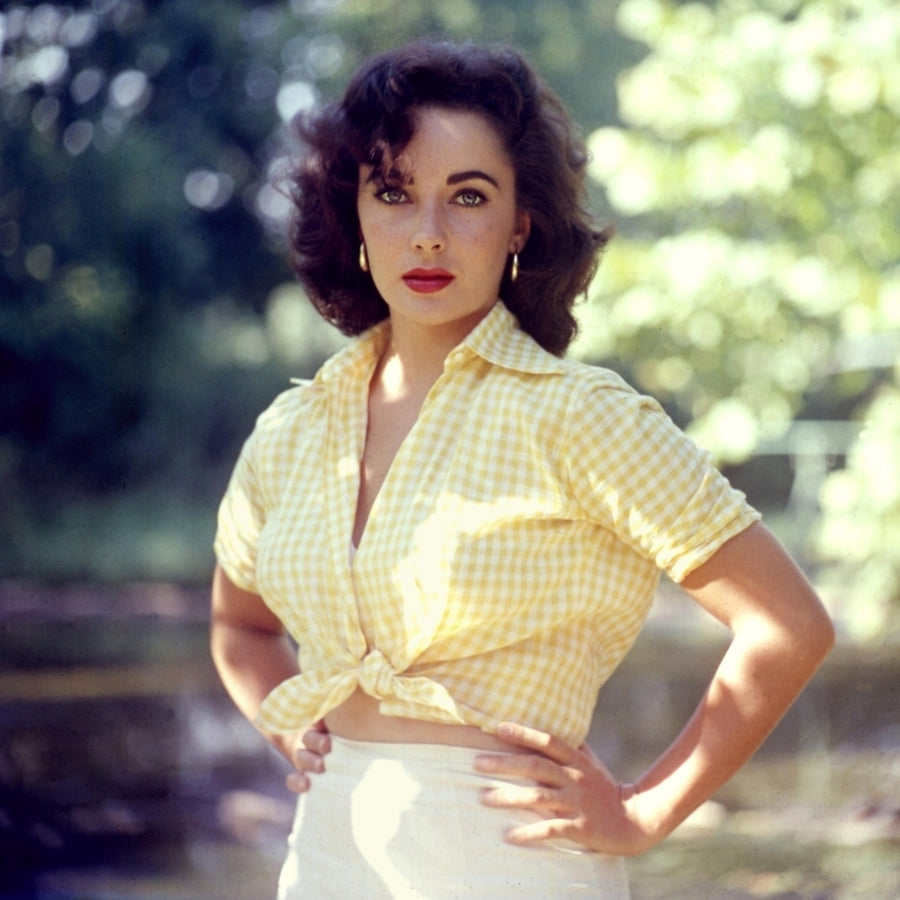 Elizabeth Taylor - Yellow Checkered Tied Top Photo Print (8 x 10) - Item DAP17730 Image 1