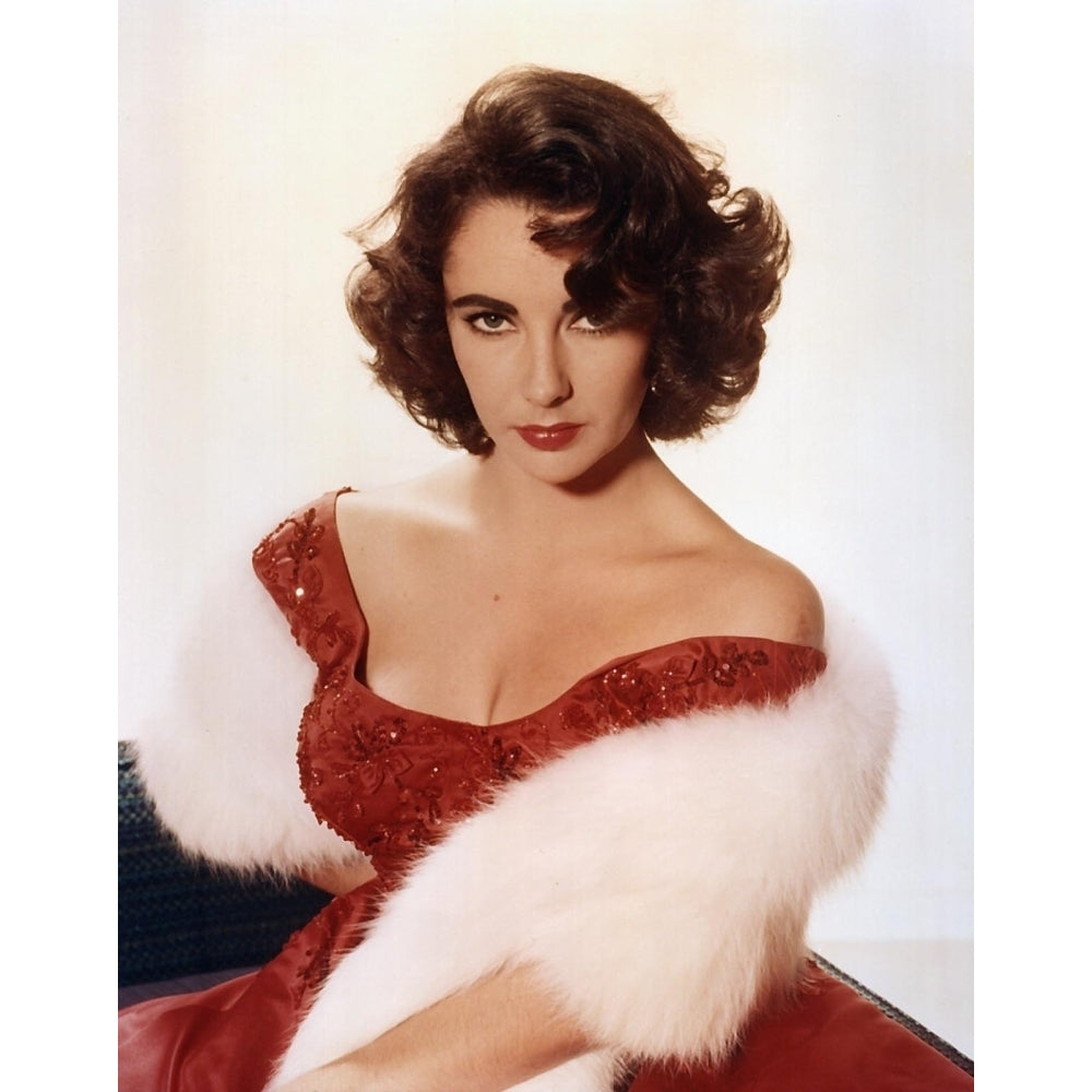 Elizabeth Taylor Red DRess with faux Schal Photo Print (8 x 10) - Item DAP17740 Image 1