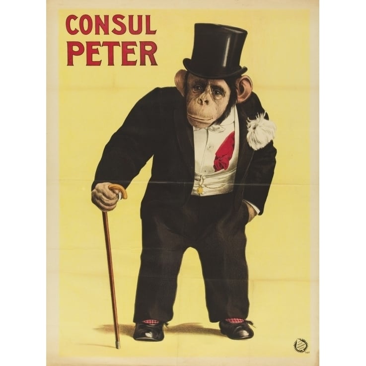 Consul Peter Monkey In Top Hat And Tails Poster Print (18 x 24) Image 1