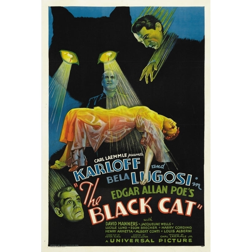 Lugosi Karloff The Black Cat Movie Poster Print (18 x 24) Image 1