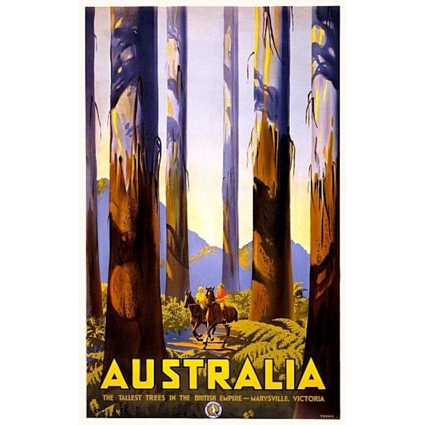 Australia Tallest Trees In British Empire Travel Poster Print (24 x 36) Image 1