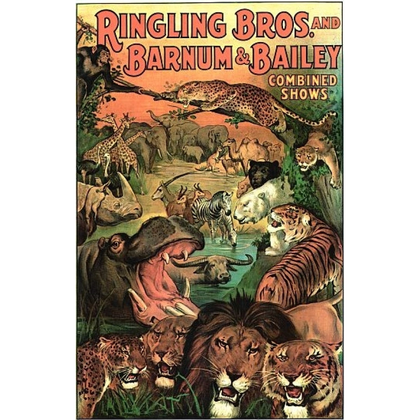 Ringling Bros Barnum and Bailey Wild Animals Poster Print (24 x 36) Image 1