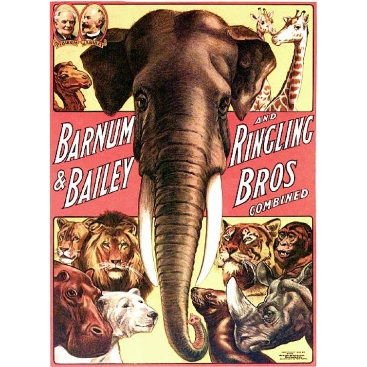 Barnum Bailey Ringling Elephant Animal Circus Poster Print (24 x 36) Image 1