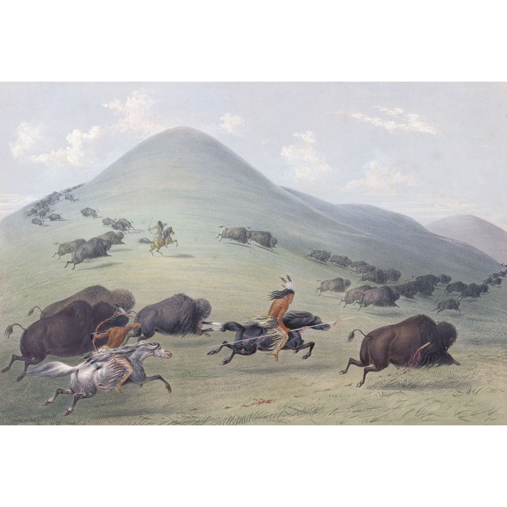 Plains Indians on horseback hunt buffalo with spears and bows and arrows. American bison B. bison. From Catlins North Image 1