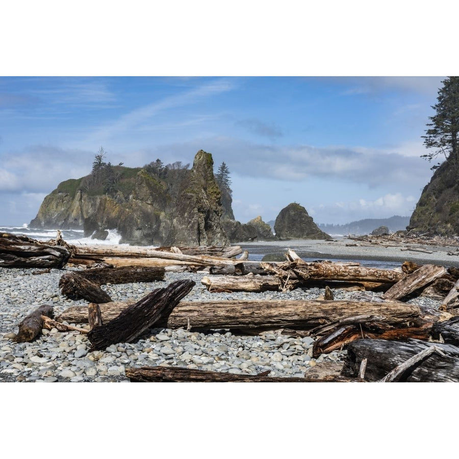 Driftwood and Sea Stacks at Ruby Beach in the Olympic National Park Washington USA; Kalaloch Washington United States of Image 1