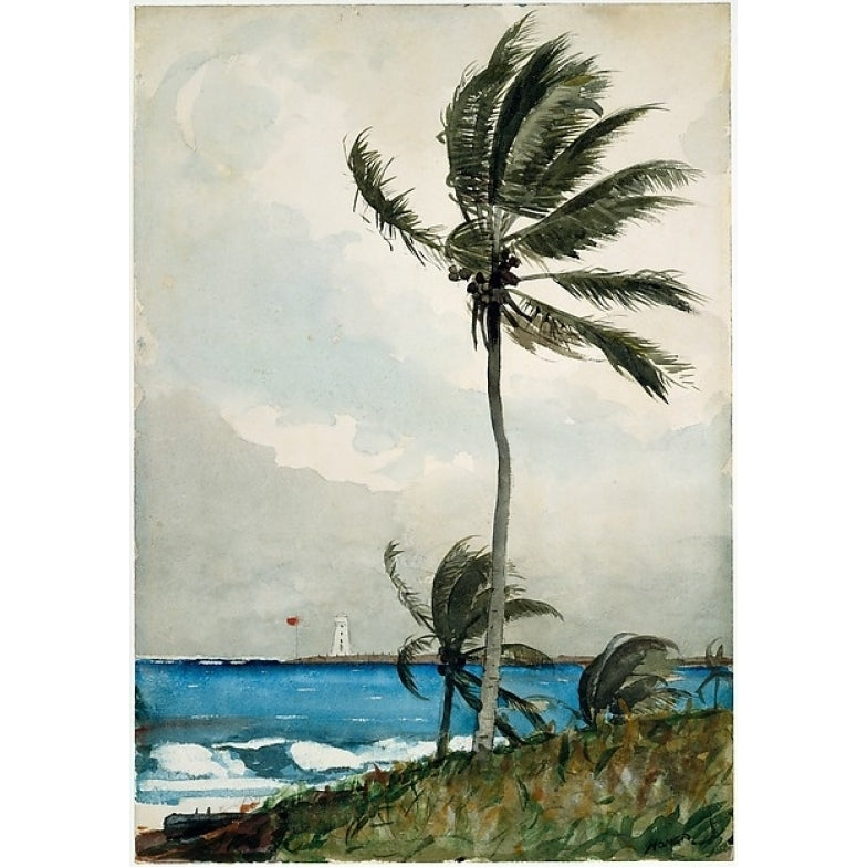 Palm Tree Nassau Poster Print by Winslow Homer (American Boston Massachusetts 1836??1910 Prouts Neck Maine) (18 x 24) Image 1