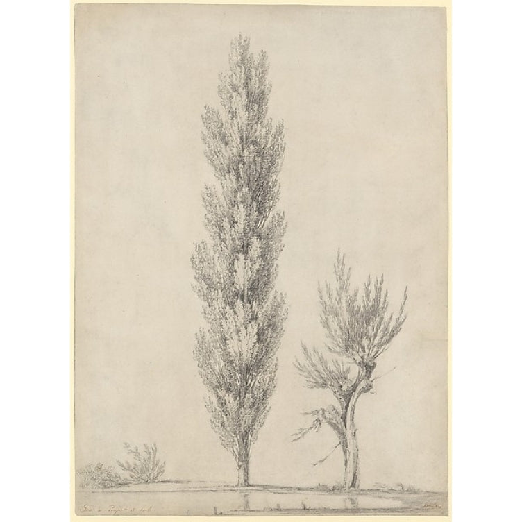 Landscape with a Poplar and a Willow Tree at the Edge of a Pond Poster Print by Jean Victor Bertin (18 x 24) Image 1