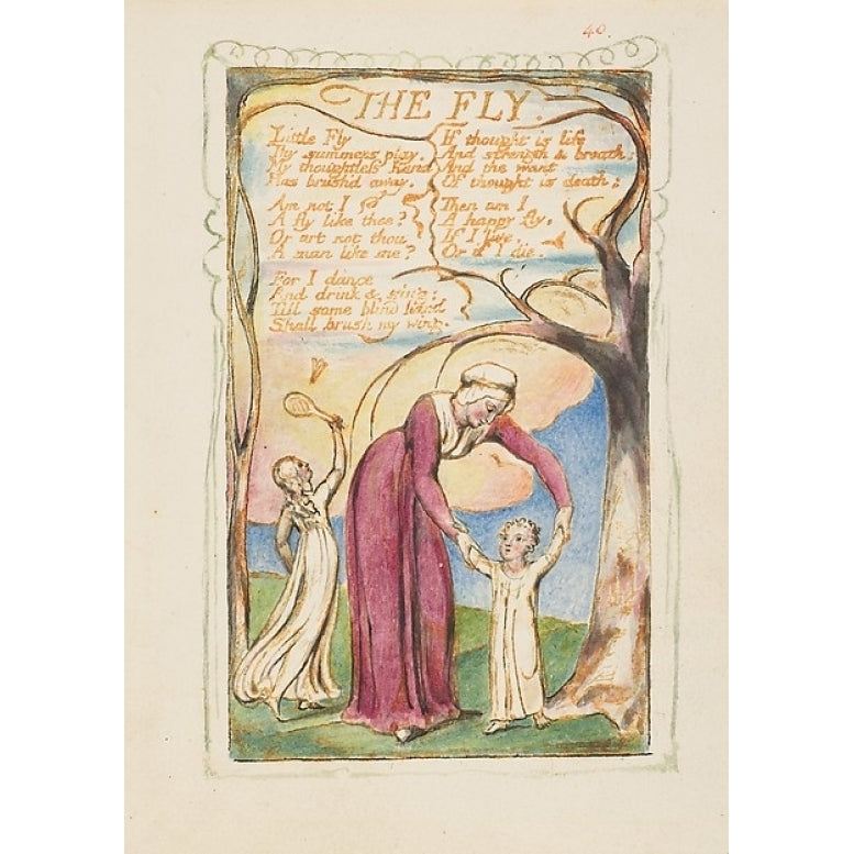 Songs of Innocence and of Experience: The Fly Poster Print by William Blake (British London 1757??1827 London) (18 x 24) Image 1