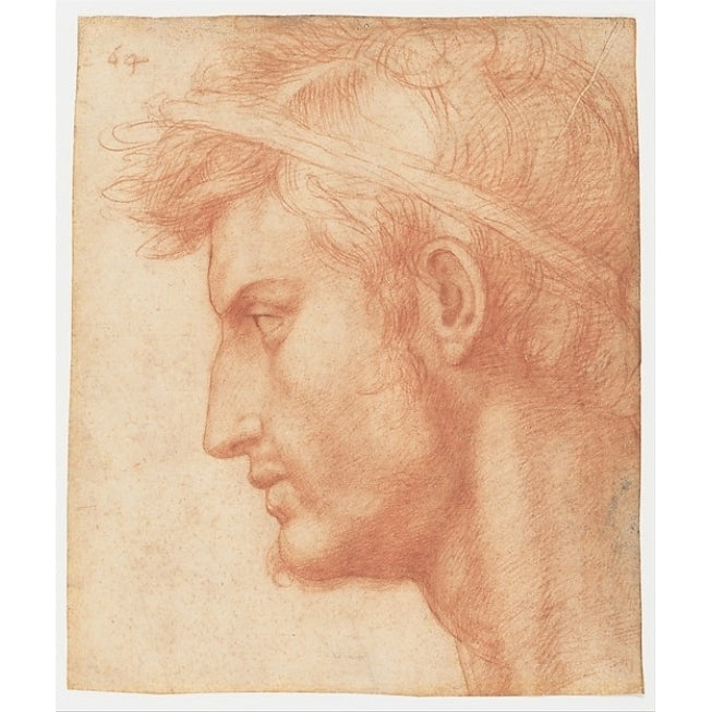 Study for the Head of Julius Caesar Poster Print by Andrea del Sarto (18 x 24) Image 1