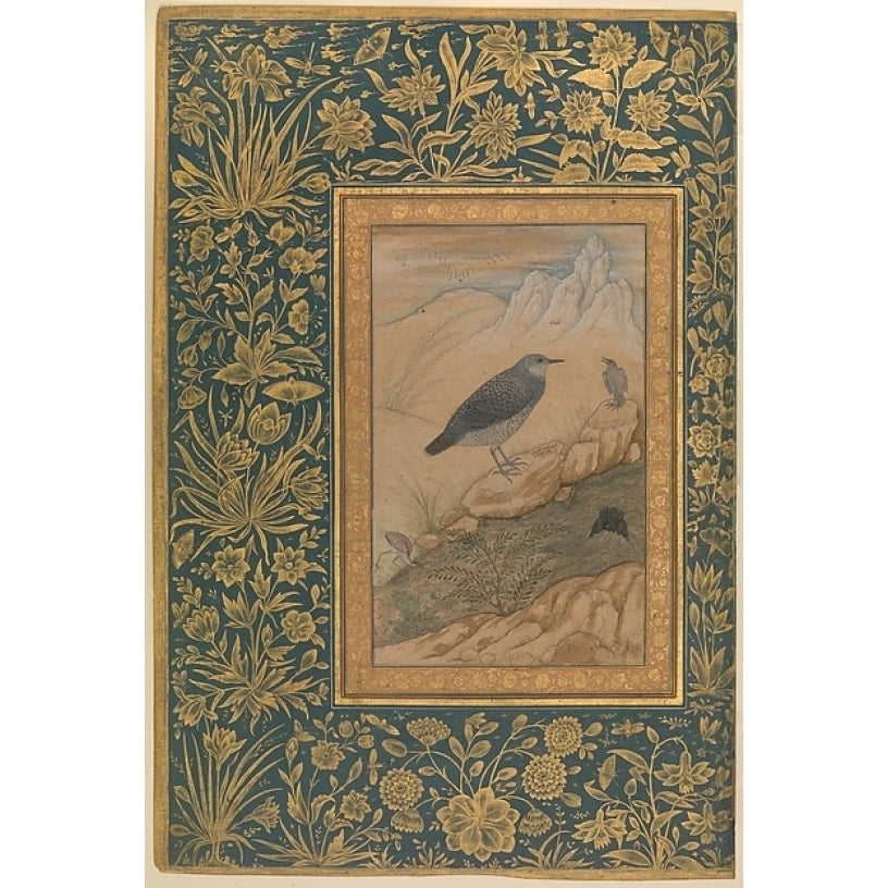 Diving Dipper and Other Birds Folio from the Shah Jahan Album Poster Print by Painting by Mansur (active ca. Image 1