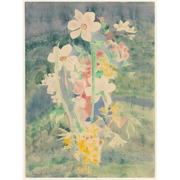 Narcissi Poster Print by Charles Demuth (American Lancaster Pennsylvania 1883??1935 Lancaster Pennsylvania) (18 x 24) Image 1