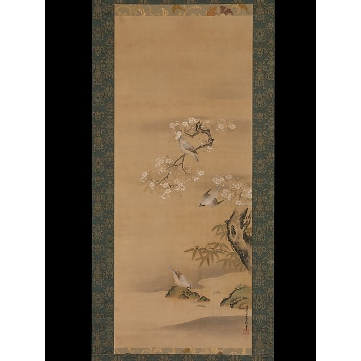 Waxwings Cherry Blossoms and Bamboo by a Stream Poster Print by Kiyohara Yukinobu (Japanese 1643 ??1682) (18 x Image 1