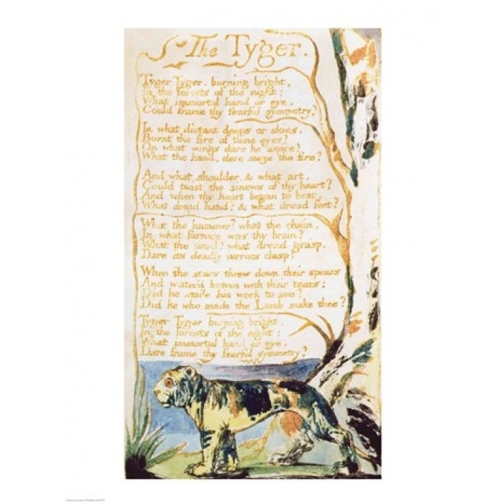 The Tyger from Songs of Innocence Poster Print by William Blake (8 x 10) Image 1