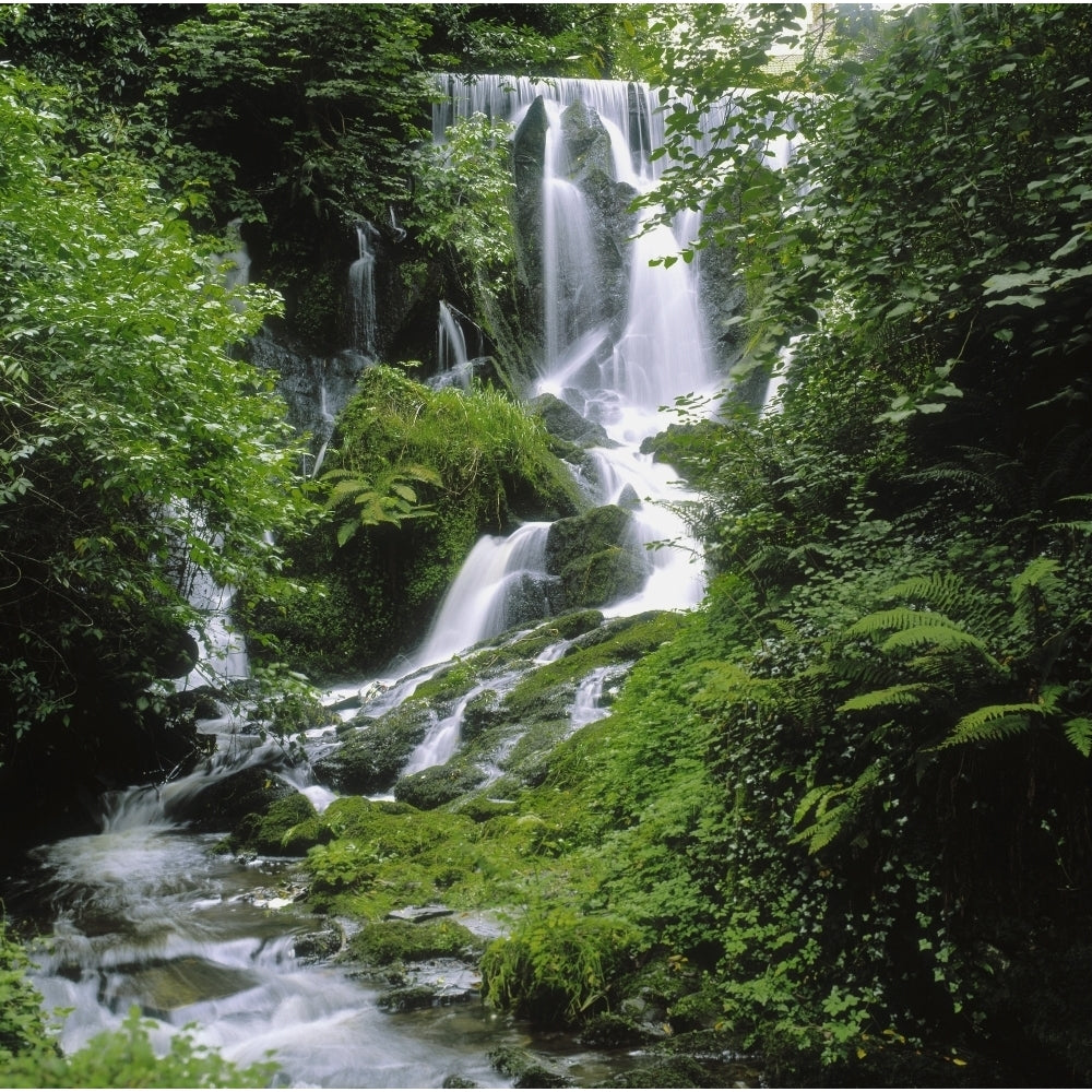 Crawfordsburn Country Park Co Down Ireland; Waterfall Poster Print (8 x 10) Image 1