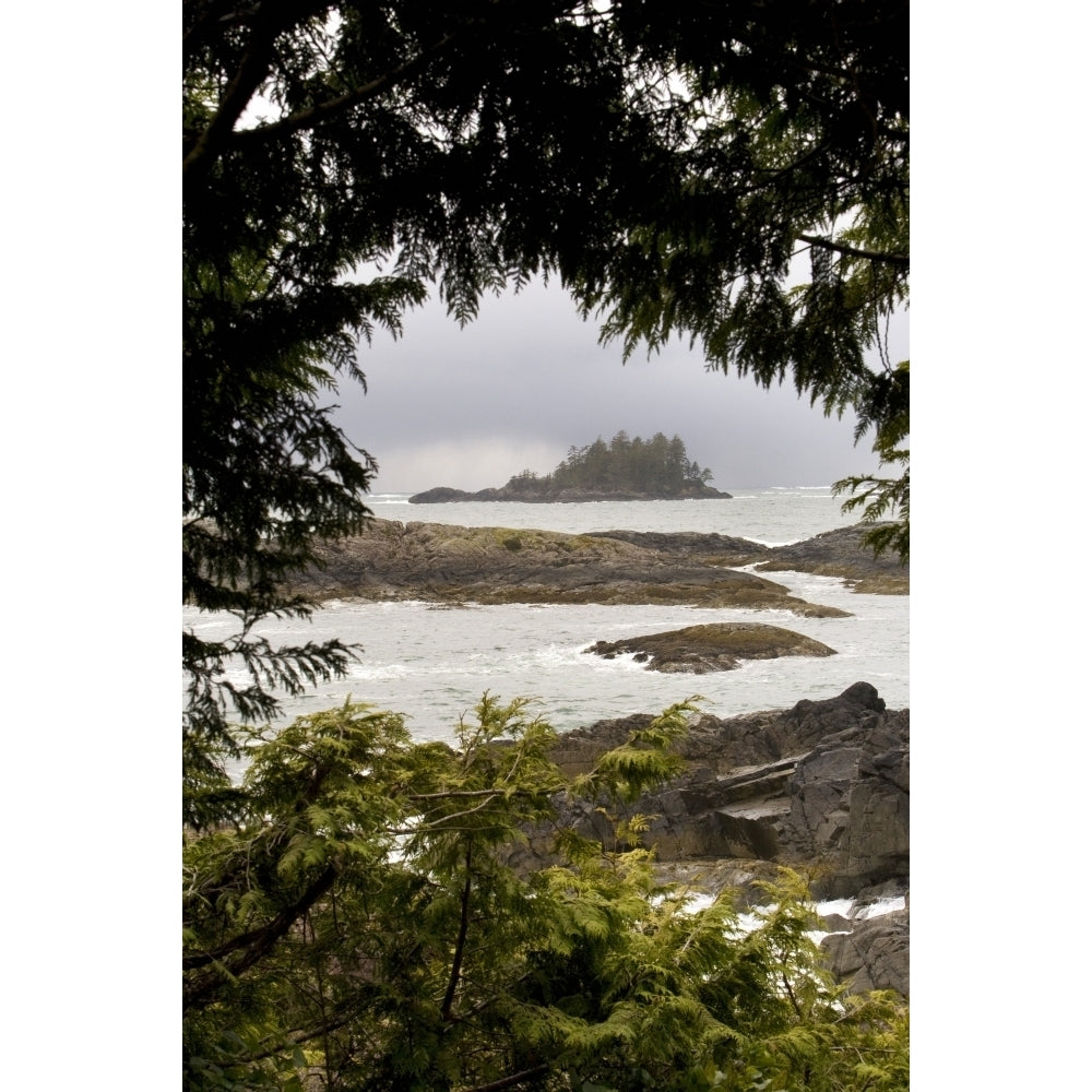 Coastal Scenery Tofino British Columbia Canada Poster Print (8 x 10) Image 1