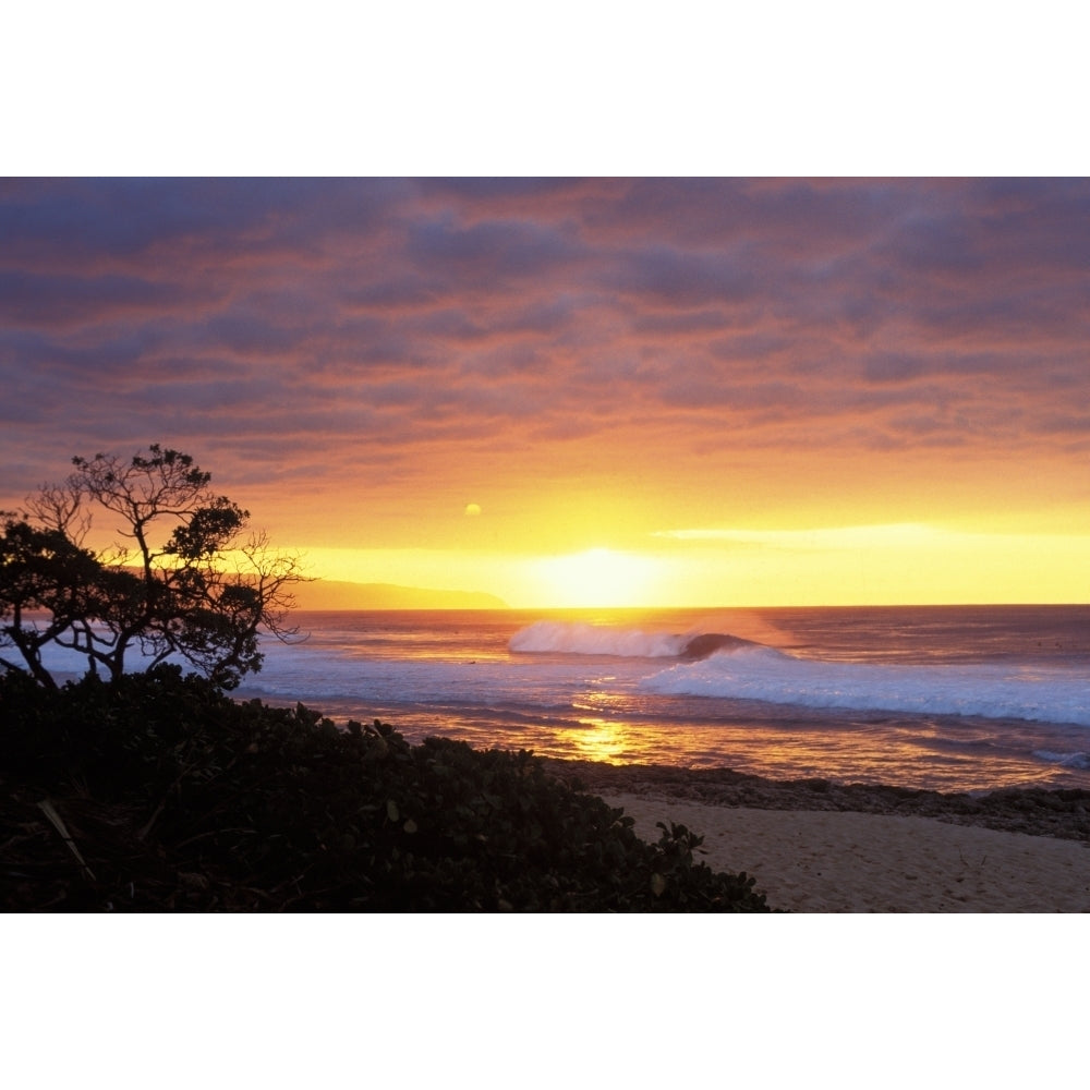 Hawaii Oahu North Shore Waves Crashing At Sunset Tree Silhouetted Poster Print (8 x 10) Image 1