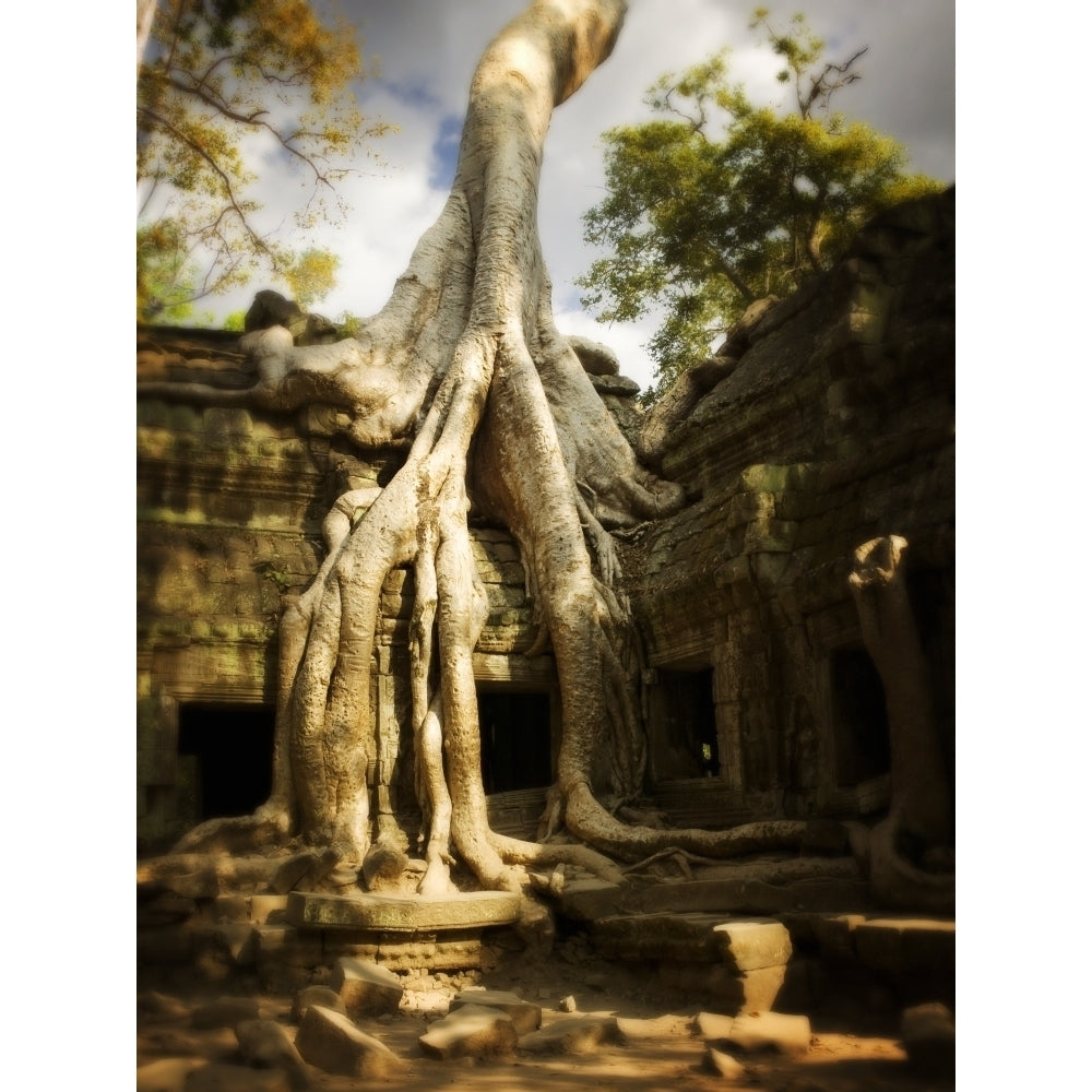 Angkor Wat; Cambodia Poster Print (8 x 10) Image 1