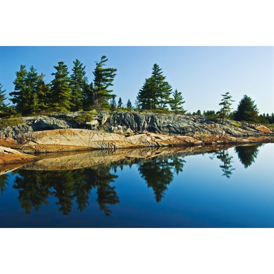 Trees Reflection In Water Georgian Bay Ont Poster Print (8 x 10) Image 1