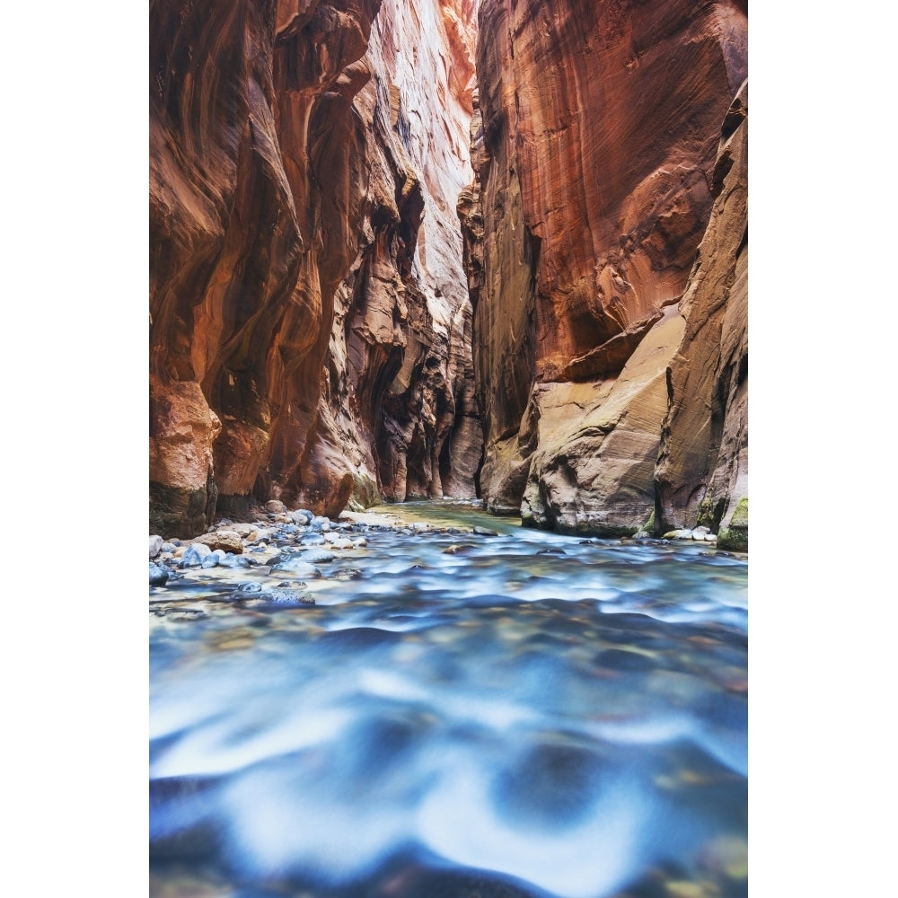 Sunlight reflecting in the virgin river narrows in zion national park;Utah united states of america Print (8 x 10) Image 1