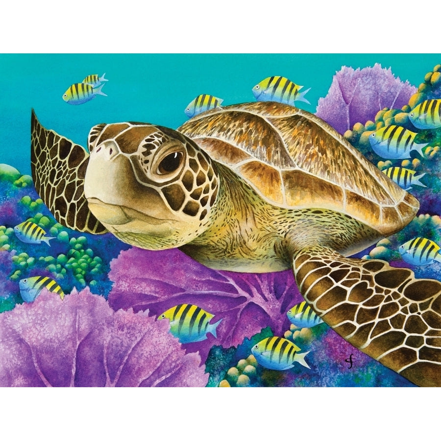 Young Green Sea Turtle Poster Print by Carolyn Steele (8 x 10) Image 1