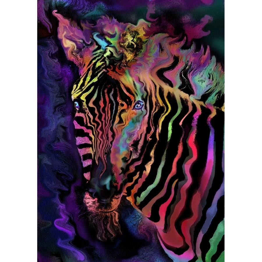 Rainbow Zebra Poster Print by Alixandra Mullins (8 x 10) Image 1