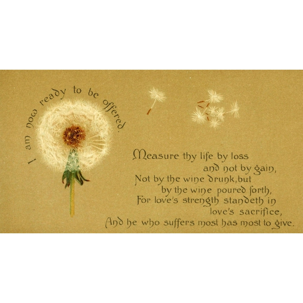 Parables of the Cross 1890 Measure thy life Poster Print by Isabella Lilias Trotter (8 x 10) Image 1