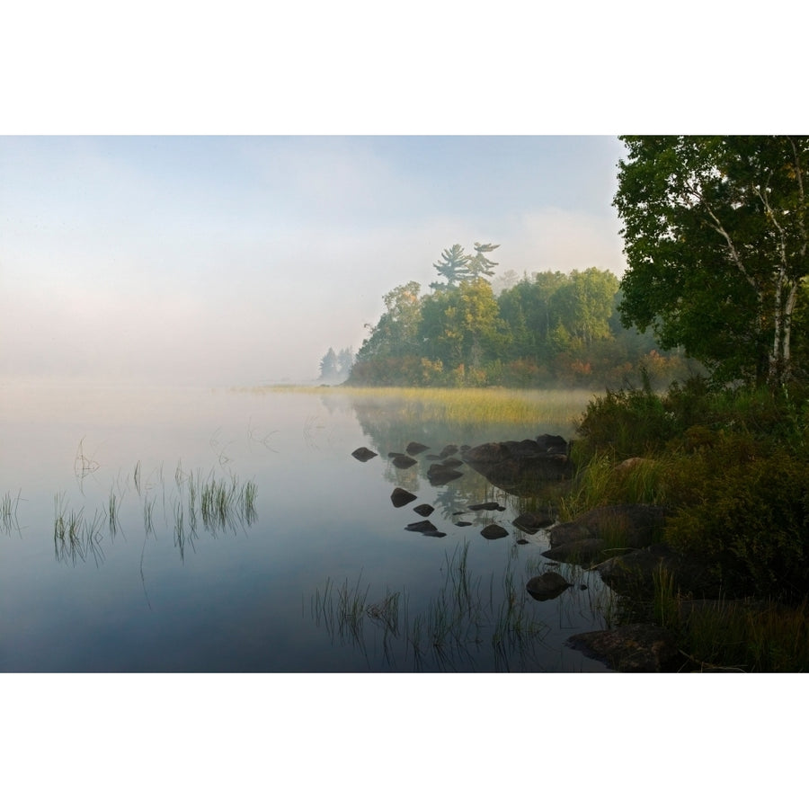 Shoreline trees and grasses along Nina Moose Lake fog Boundary Waters Canoe Area Wilderness Minnesota USA (8 x 10) Image 1