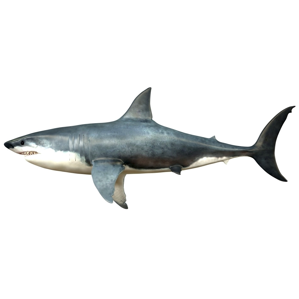 A Megalodon shark from the Cenozoic Era Poster Print (8 x 10) Image 1