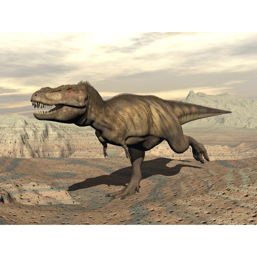 Tyrannosaurus Rex dinosaur running across rocky terrain Poster Print (8 x 10) Image 1