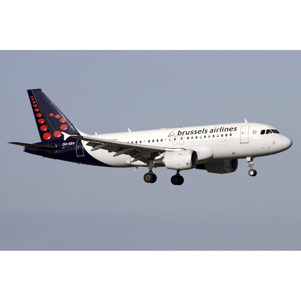 Airbus A319 of Brussels Airlines Poster Print (8 x 10) Image 1