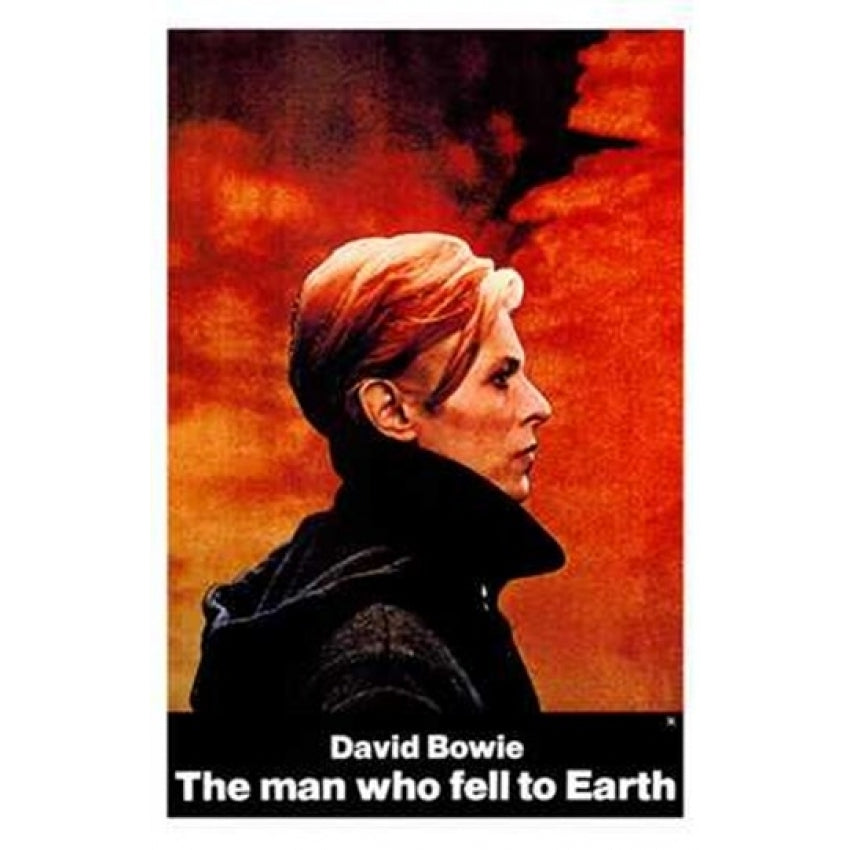 The Man Who Fell to Earth Movie Poster (11 x 17) - Item MOV170643 Image 1