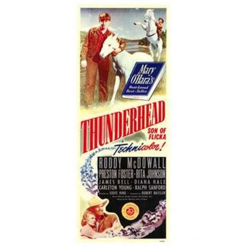 Thunderhead - Son of Flicka Movie Poster (11 x 17) - Item MOV174166 Image 1