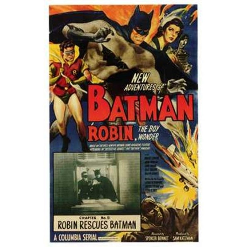 Batman and Robin Movie Poster (11 x 17) - Item MOV199312 Image 1