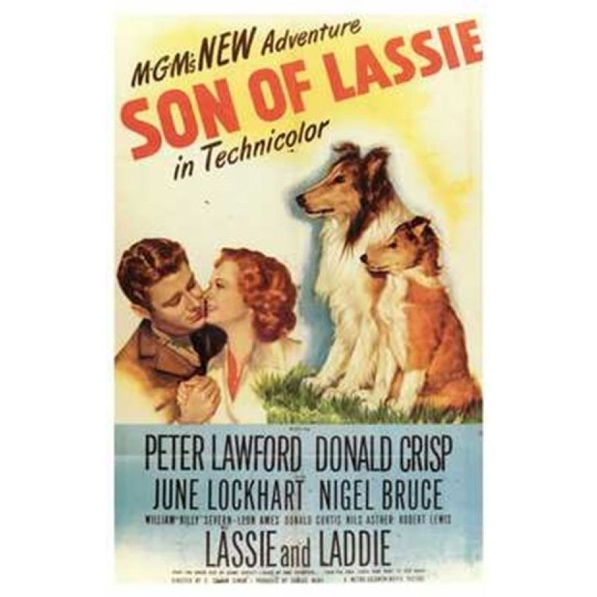 Son of Lassie Movie Poster (11 x 17) - Item MOV199481 Image 1