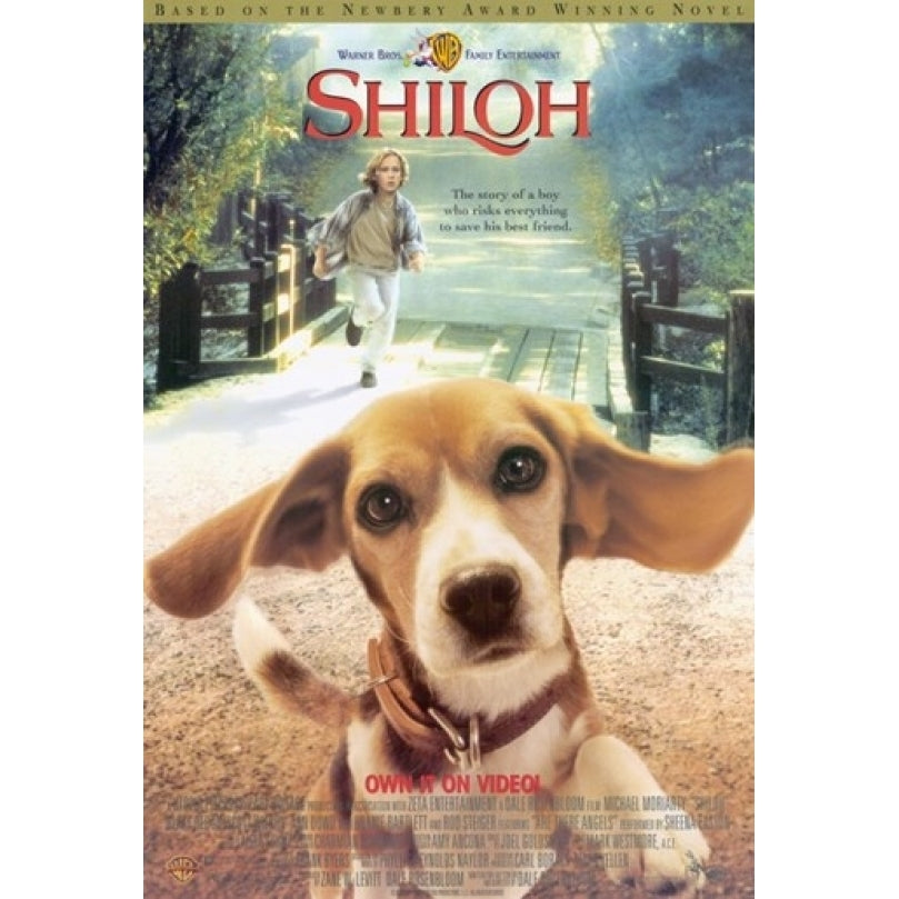 Shiloh Movie Poster (11 x 17) - Item MOV204822 Image 1