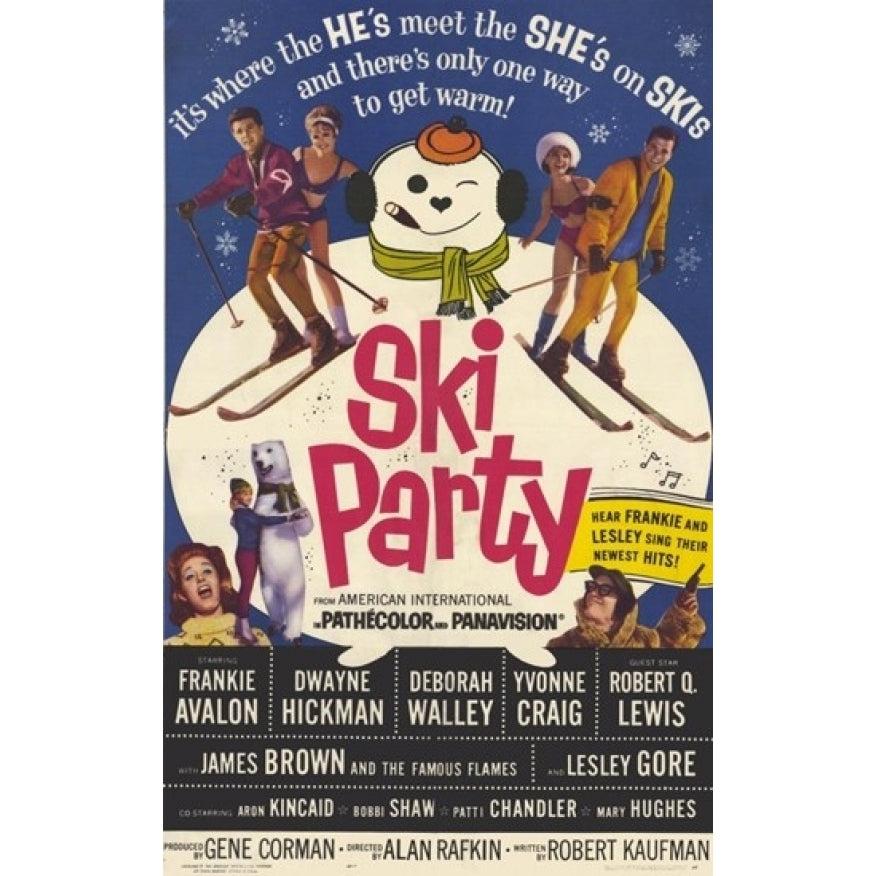 Ski Party Movie Poster (11 x 17) - Item MOV209129 Image 1