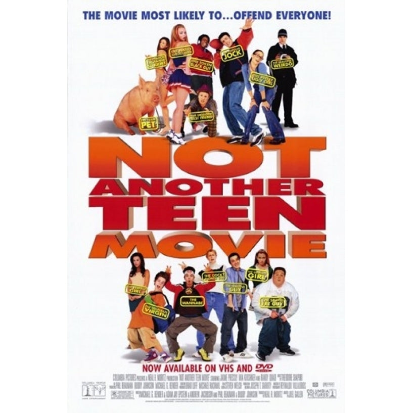 Not Another Teen Movie Movie Poster (11 x 17) - Item MOV215968 Image 1