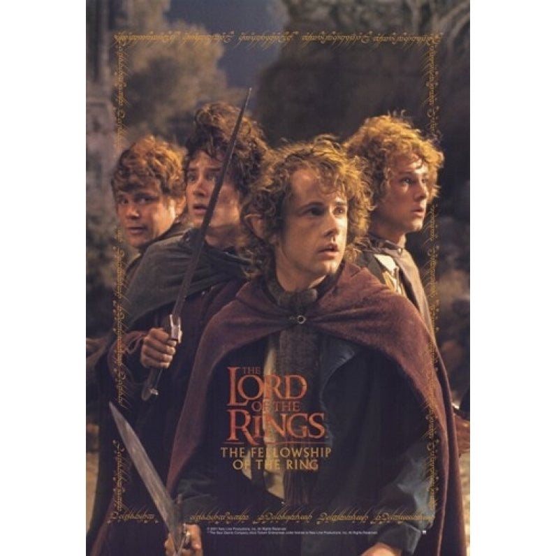 Lord of the Rings Fellowship of the Ring Movie Poster (11 x 17) - Item MOV247907 Image 1