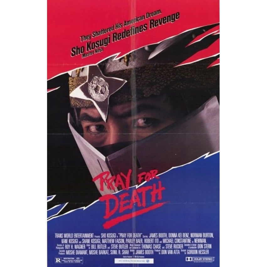 Pray for Death Movie Poster (11 x 17) - Item MOV248259 Image 1