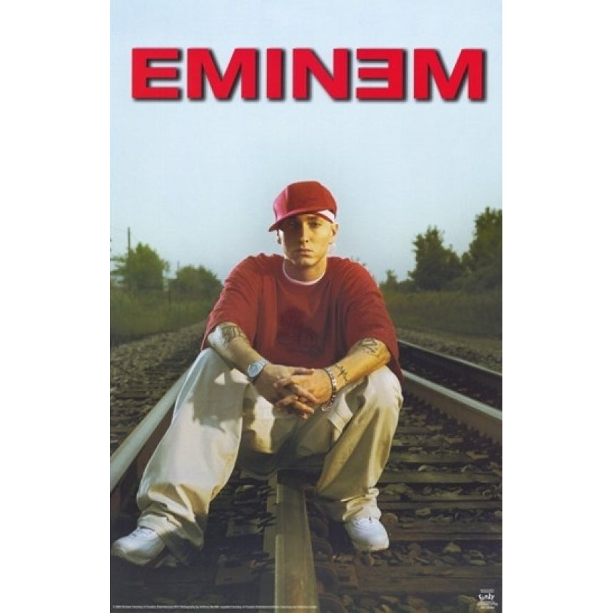 Eminem Movie Poster (11 x 17) - Item MOV254453 Image 1