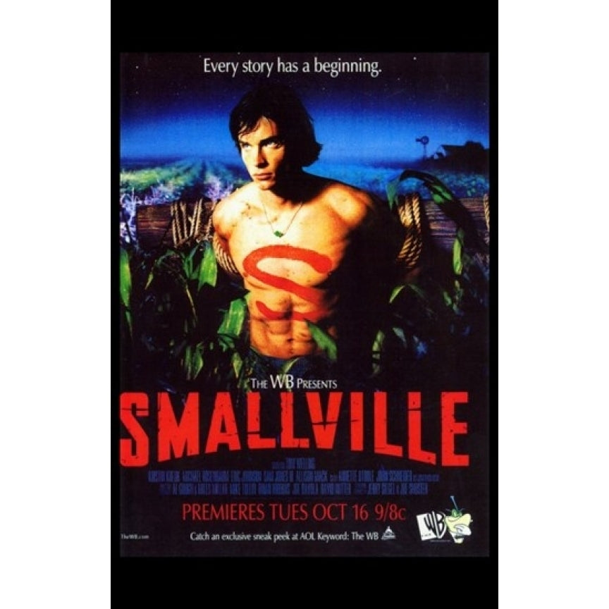 Smallville - style A Movie Poster (11 x 17) - Item MOV268331 Image 1