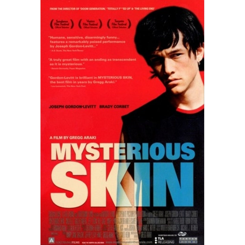 Mysterious Skin Movie Poster (11 x 17) - Item MOV282826 Image 1