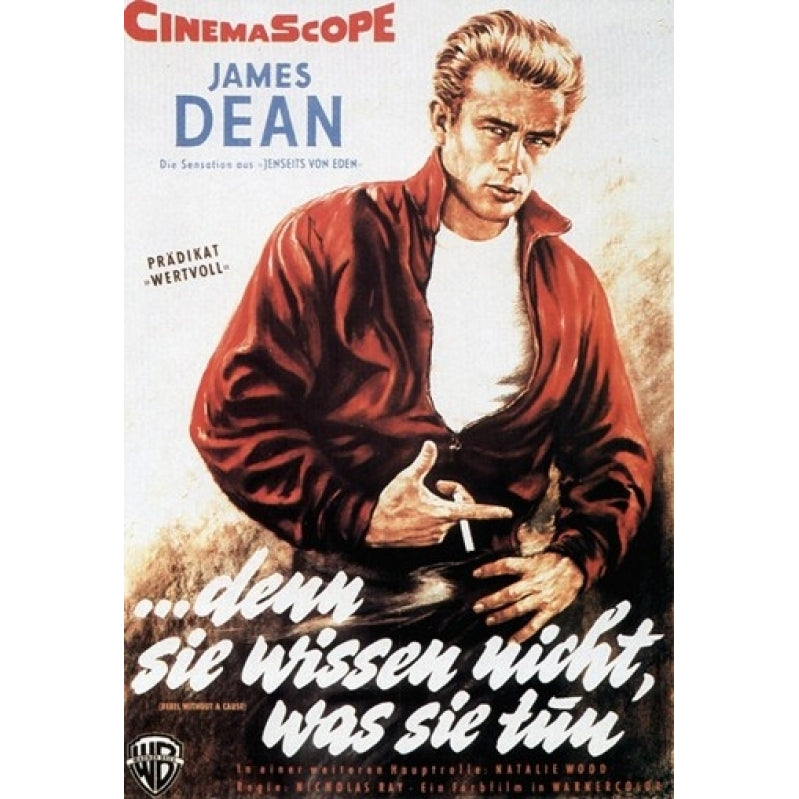 Rebel Without a Cause Movie Poster (11 x 17) - Item MOV417367 Image 1