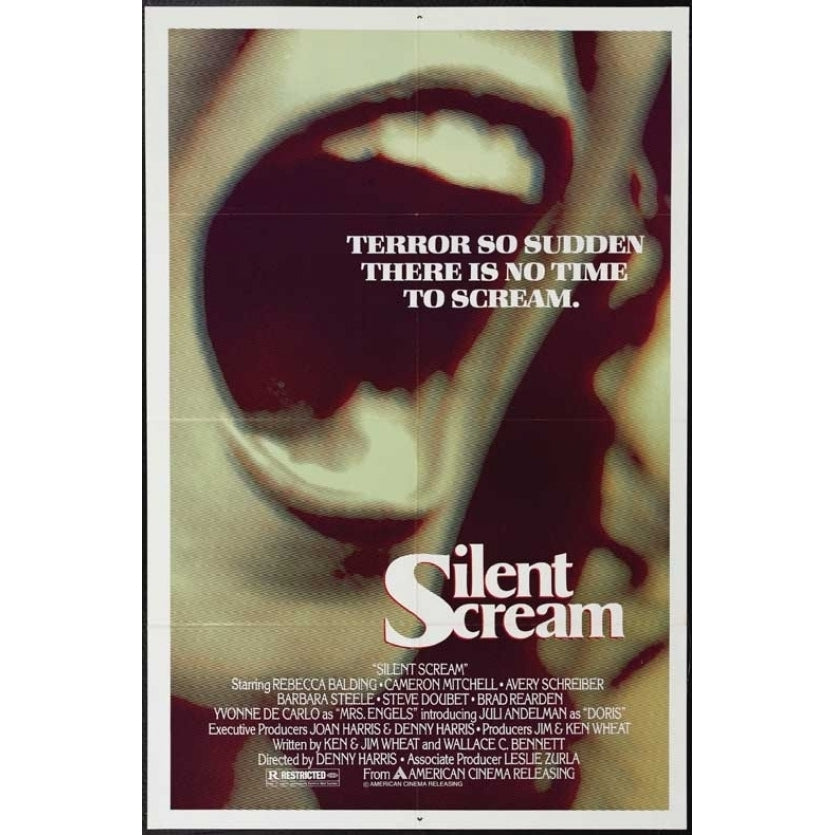 The Silent Scream Movie Poster (11 x 17) - Item MOVAB13221 Image 1